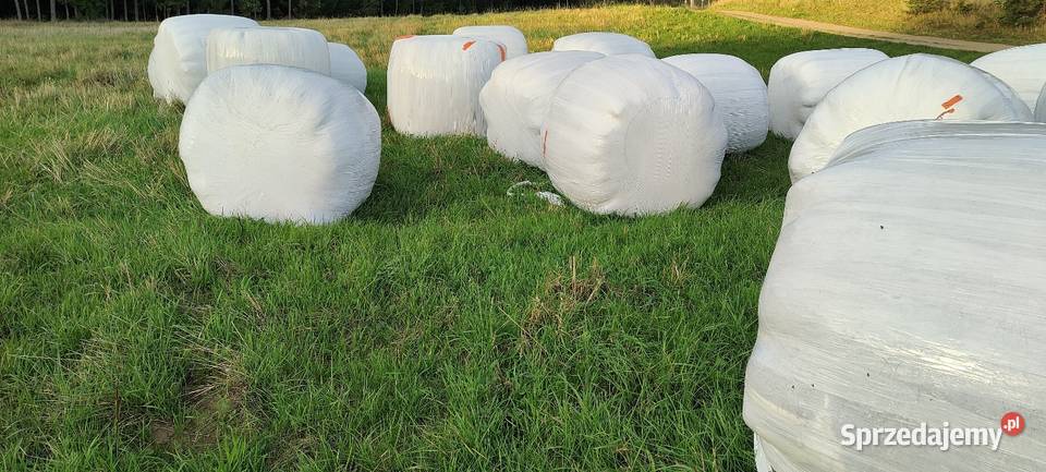 Sianokiszonka bele Rolnictwo Garcz sprzedam