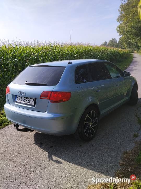 Audi S3 8P 16LPG klima Audi Sieciechowice