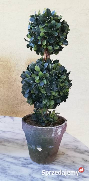 Drzewko sztuczne bukszpan choinka kula w Dekoracje świąteczne Garwolin