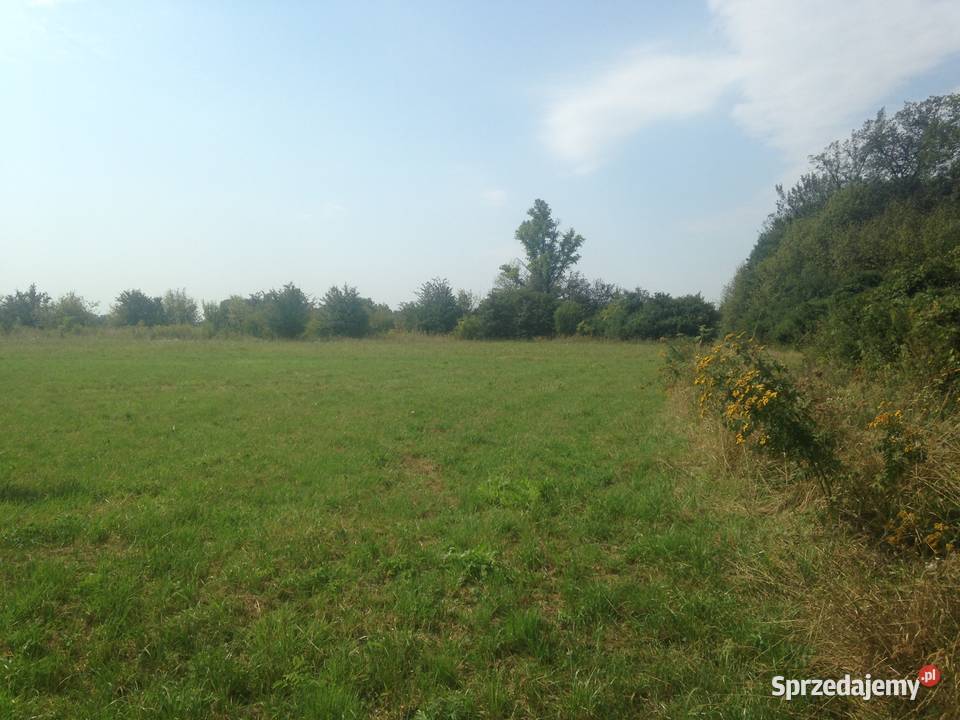 Łąka na sprzedaż mazowieckie Solec nad Wisłą sprzedam