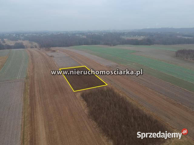 sprzedaży gruntu 6383m2 Wodzisław Śląski rolna