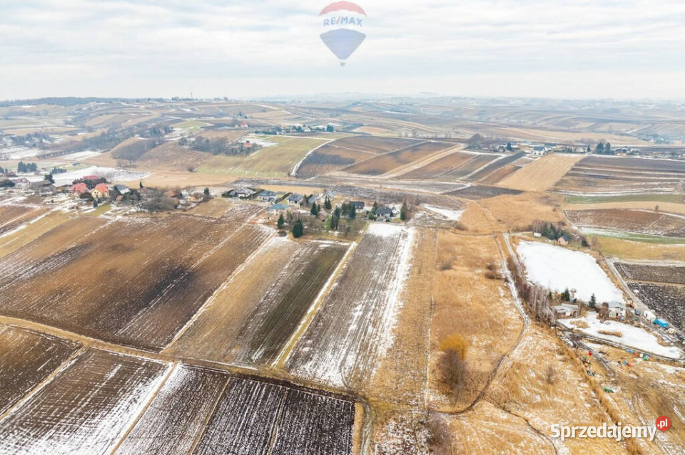 DZIAŁKA ROLNA ZAGRODOWA PIETRZEJOWICE Sprzedaż