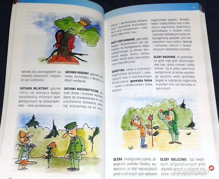 Las słowami opisany Słowniczek terminów leśnych Chełm