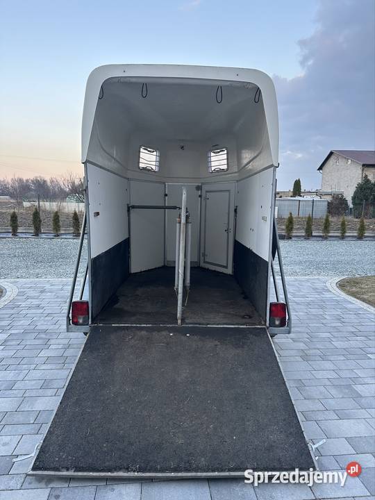 Dmc 1300 kat b przyczepa do przewozu koni Boeckman Mokra