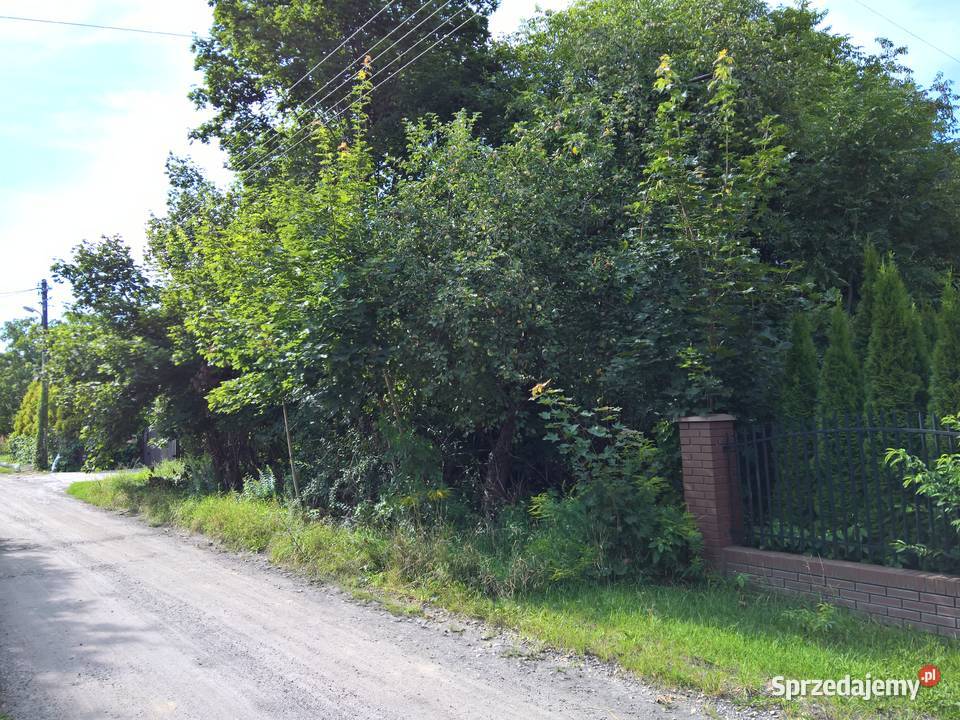 Działka 6000m Pomorska Henrykowska Łódź Widzew sprzedam