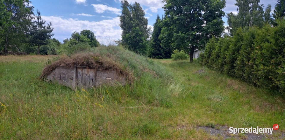 Sprzedam siedlisko 4000 m2 Luta sprzedam