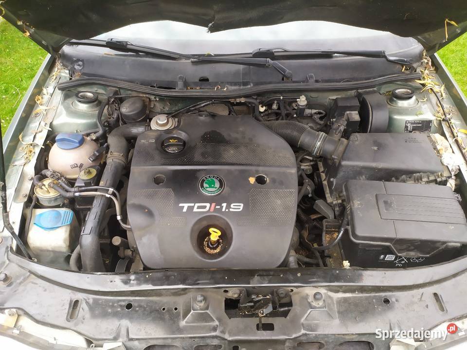 Skoda Octavia 2002 1 9tdi 110 Występy