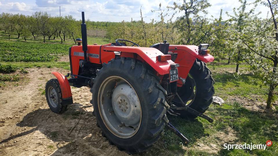 Ursus 2812 mf 235 Busko-Zdrój