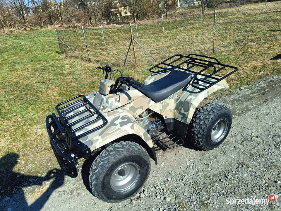 Kingway Traper 250 Honda Barossa Bochnia