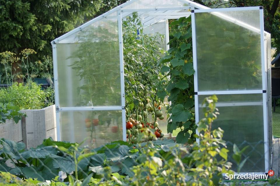 Szklarnia ogrodowa poliwęglan 1278m2 211x606x191 Bielsko-Biała sprzedam