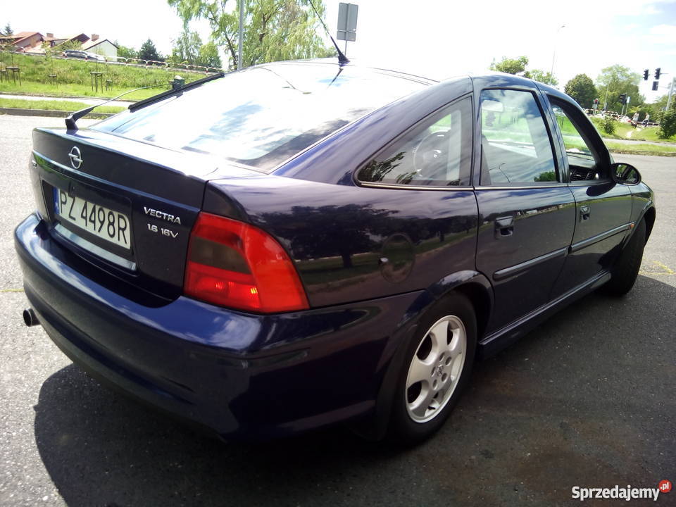 Śliczna Vectra mega stan ładny kolor benzyna Gniezno