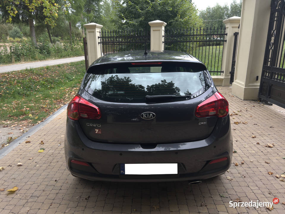 Kia Ceed 16 CRDI 128 Hatchback Salon Polska świętokrzyskie