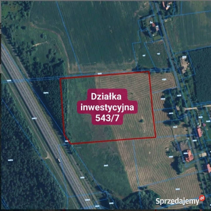 Sprzedam wydzierzawie dzialki inwestycyjne 3 Myślibórz