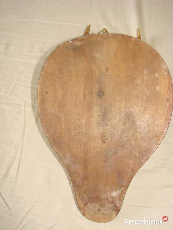 poroże kozła sarny Pruszcz Gdański