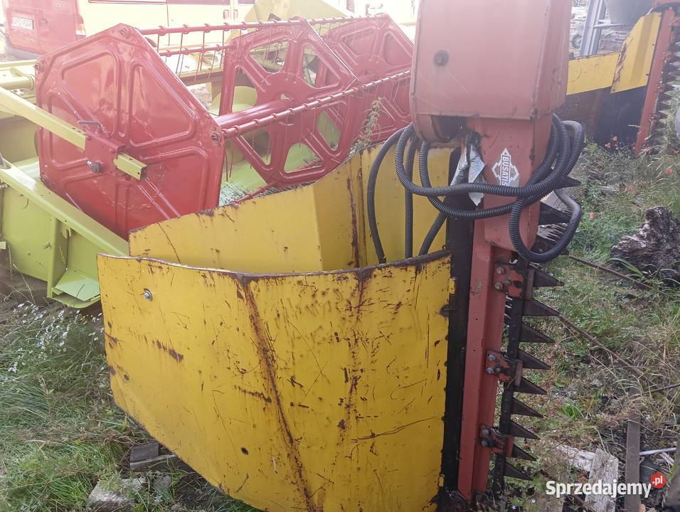 Stół do rzepaku Claas MF 42 opolskie Lubrza