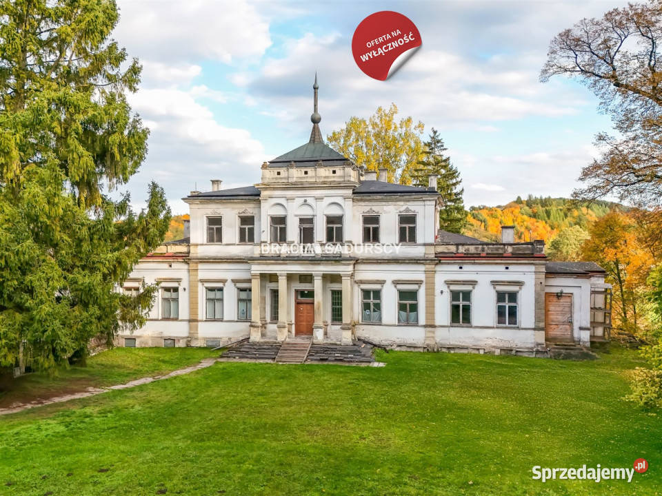 Sprzedam lokal Działoszyce 982m2 7026zł/m2 Sprzedaż