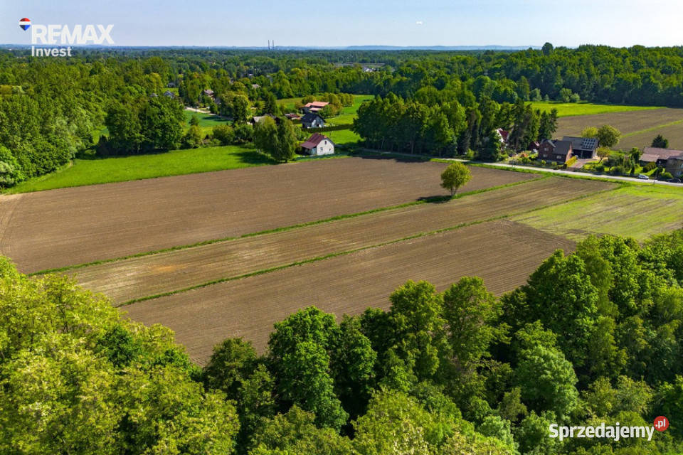 Grojec Czajki 10 arów budowlana małopolskie