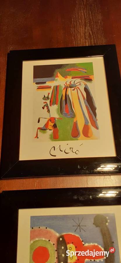 Reprodukcje obrazów Miro Prusim