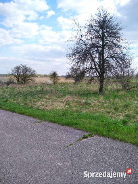 Działka inwestycyjna Stary Dybów