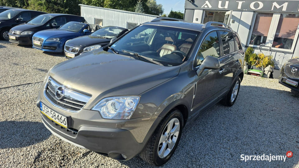 Opel Antara 163 PRZEBIEG AUTOMAT 20 DIESEL 4x4 diesel dolnośląskie Świdnica