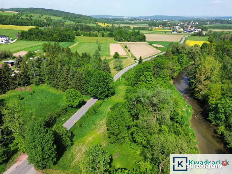 Grunt 4900m2 Zręcin Konopnickiej