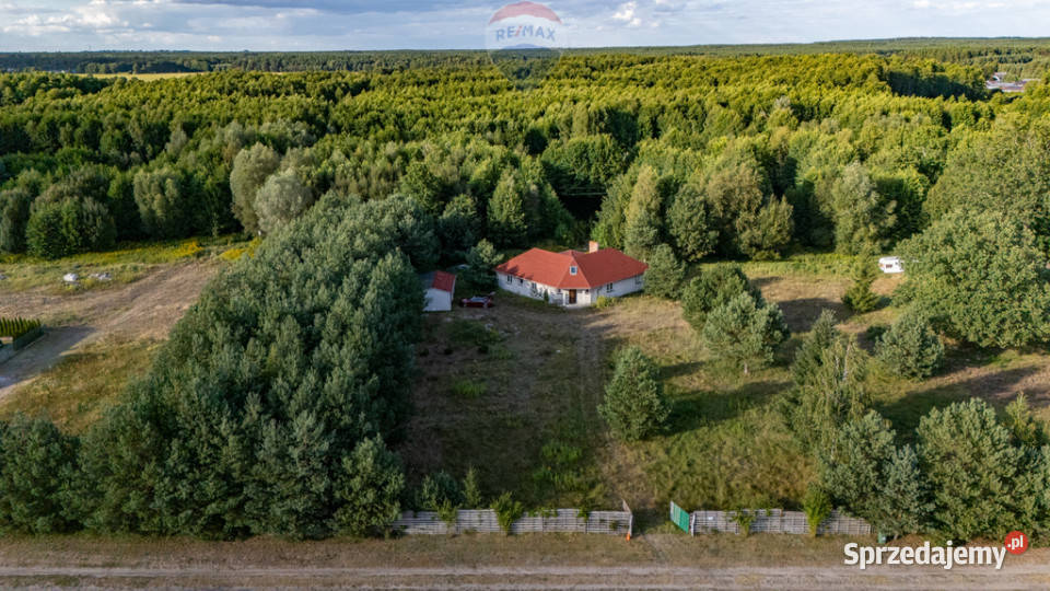 Dom z własnym stawem i wyspą pod Toruniem Obory