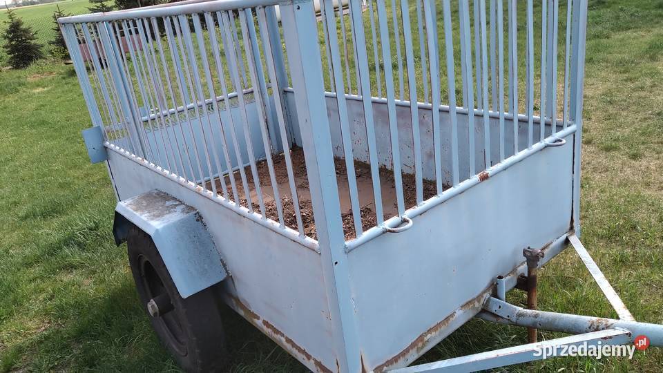 Przyczepa jednoosiowa bibka przyczepka rolnicza Łęczyca sprzedam