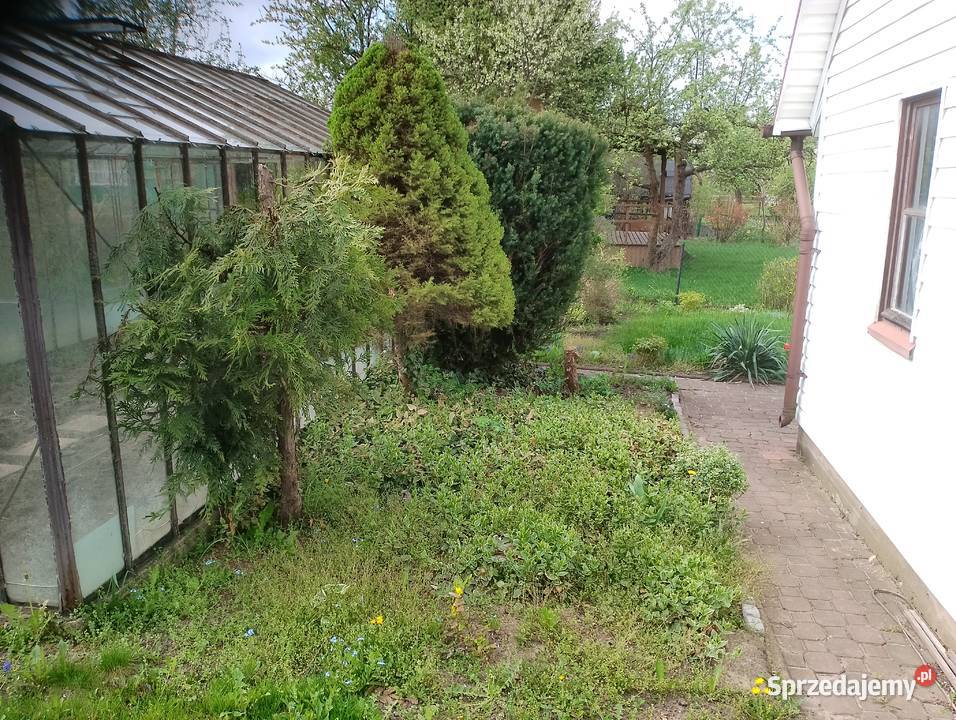 Piękna działka 300 m 2 ROD w Białysmstoku podlaskie Wasilków