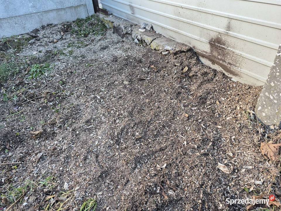 Frezowanie pni Rodaki