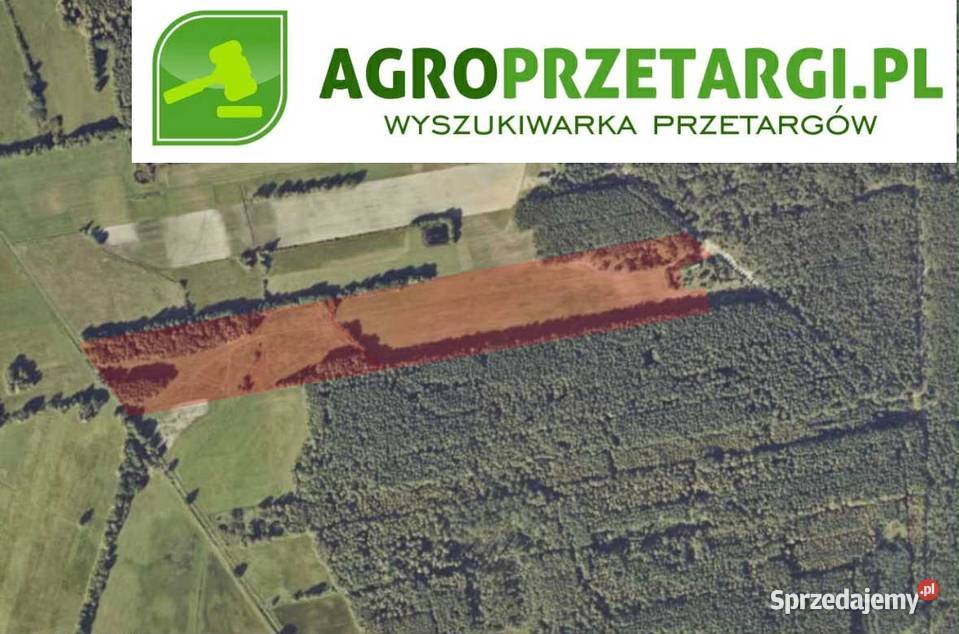 Dzierżawa 1061 ha gruntu rolnego 106100m2 wielkopolskie Kalisz