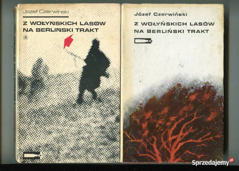 Z wołyńskich lasów na berliński trakt Józef Szczecin