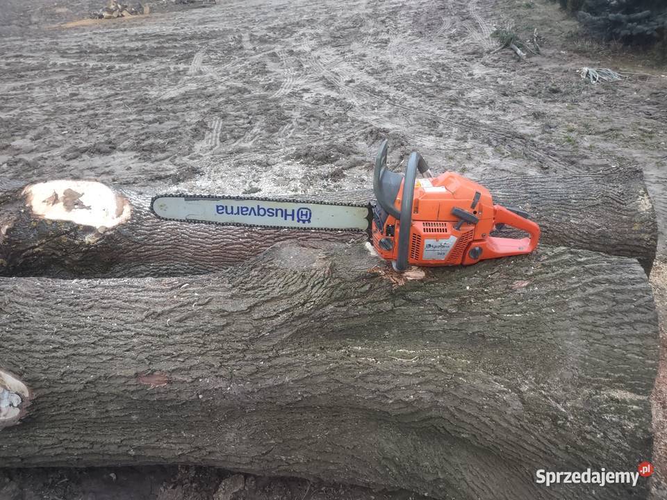 Husgvarna365 Special świętokrzyskie Rosochy