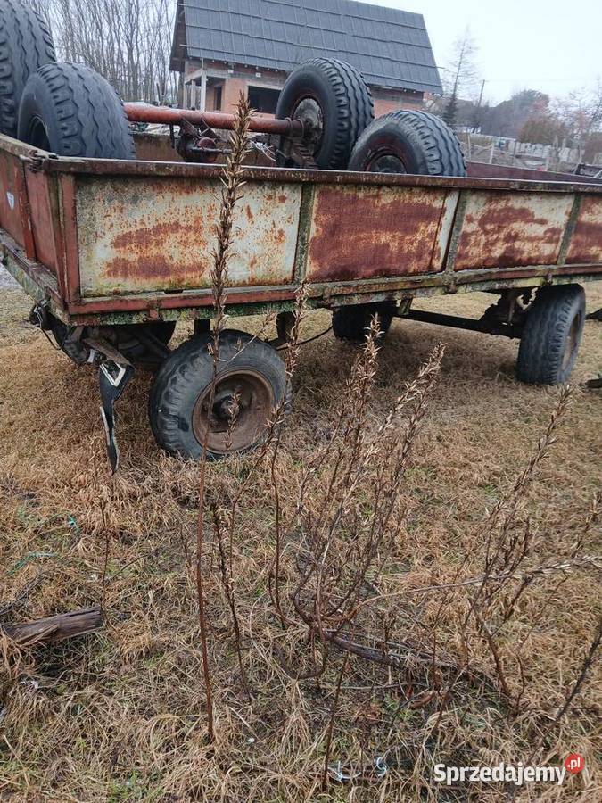 Przyczepa sztywna kaczka