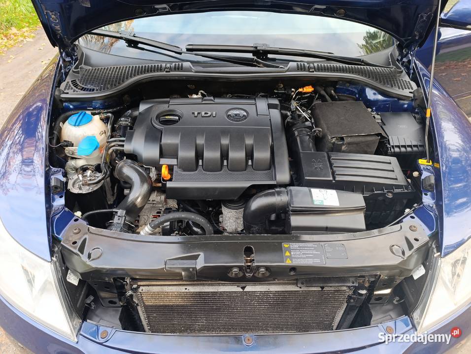 20 TDI 140 nowy rozrządnowe klockiadbana Śliwice