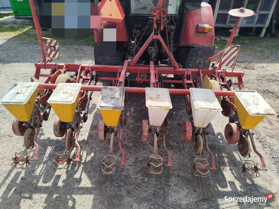 Siewnik do buraków Gamma nieuszkodzony Zamość sprzedam