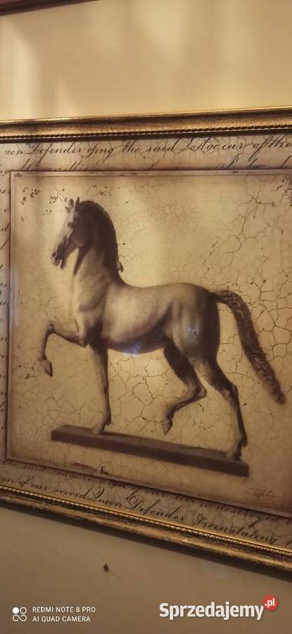 Obraz z koniem Sygnowany Replika pod szkłem Ramy Gdańsk