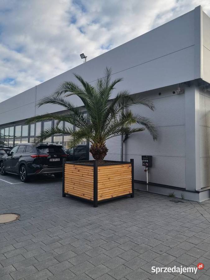 Donica duża loft Wrocław