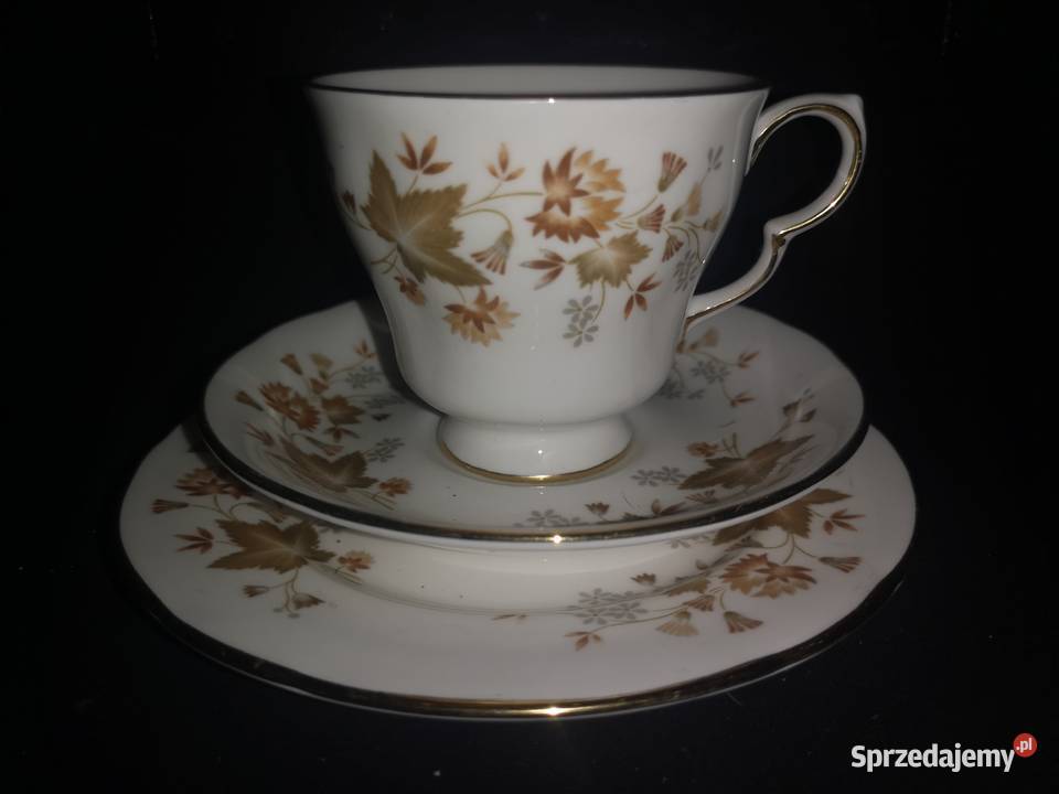 Filiżanka z talerzykiem Cocclough Jesienne Porcelana i szkło Gdańsk