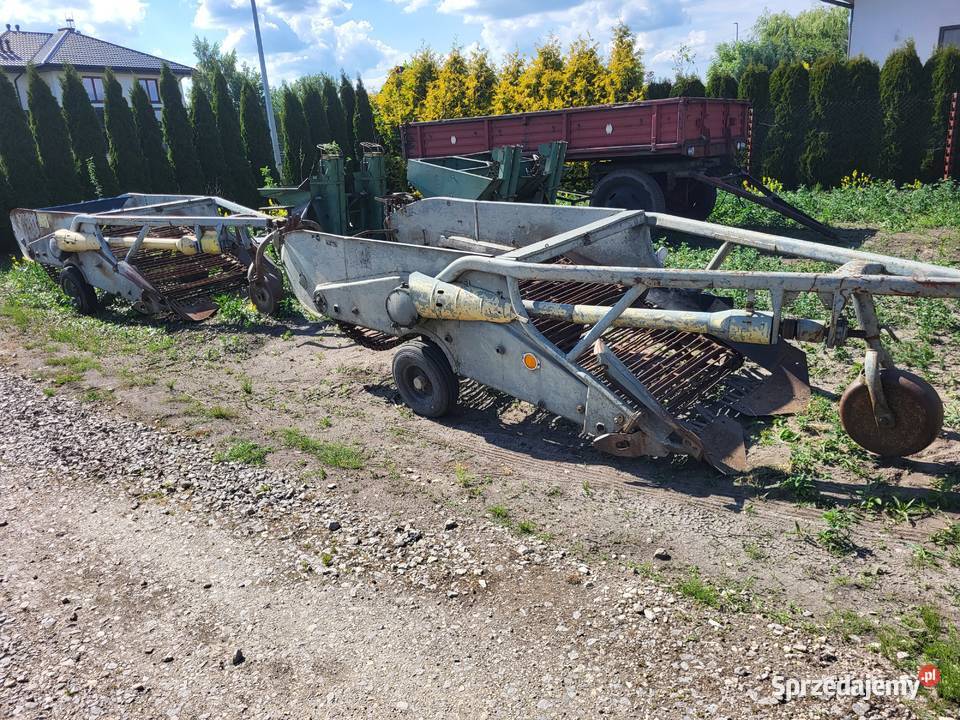 Kopaczka do ziemniaków elewatorowa
