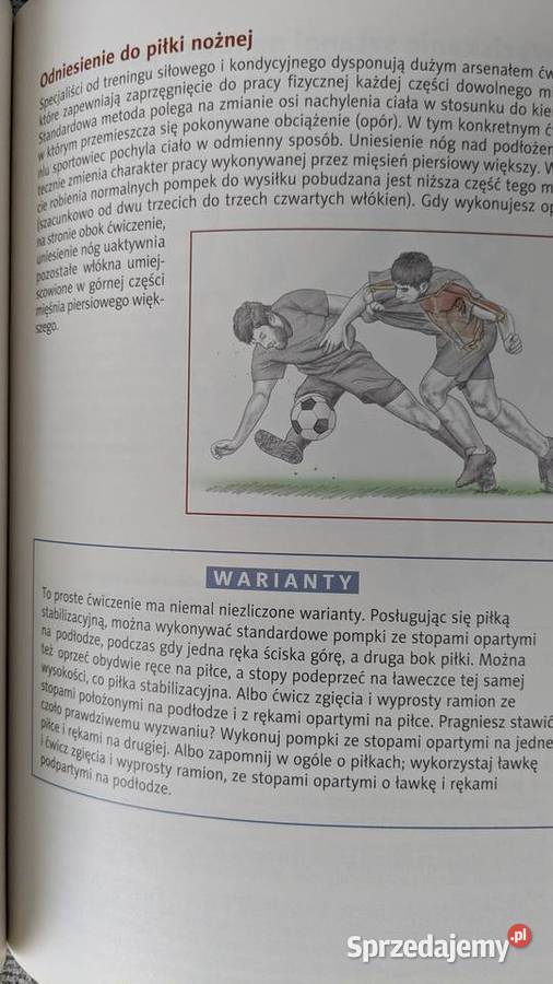 Anatomia w piłce nożnej Szczecin
