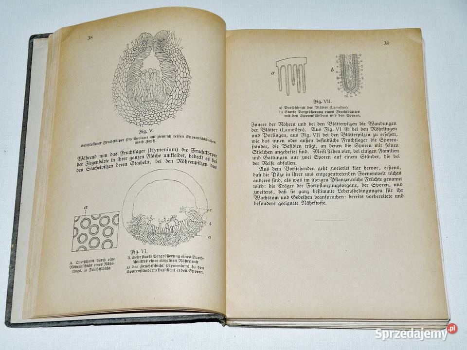 Fhrer fr Pilzfreunde E Michael Tom 1 Wyd B Antyki, Sztuka, Kolekcje Bydgoszcz