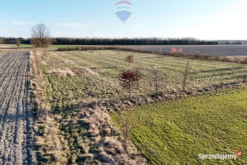 Ponad hektar przestrzeni 40 minut Warszawy mazowieckie Korabiewice