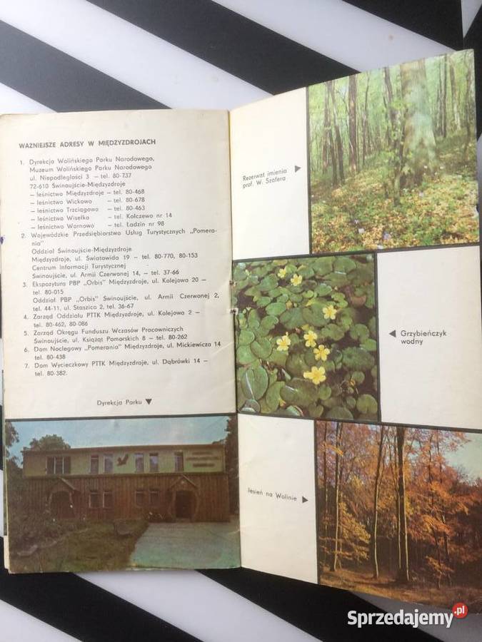 3562 Woliński Park Narodowy Szczecin