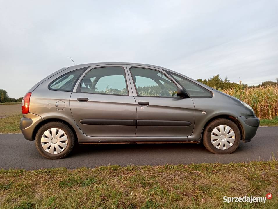 Citroen Xsara Picasso 20 HDI stary ale jary wielkopolskie Moraczewo