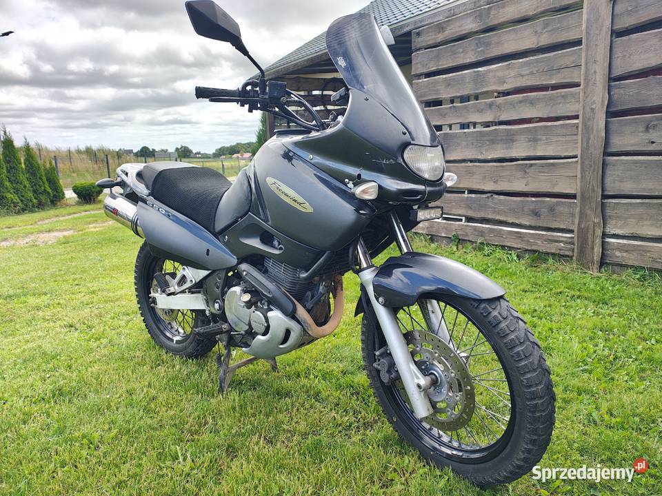 Suzuki xf 650 pomorskie Czeczewo sprzedam