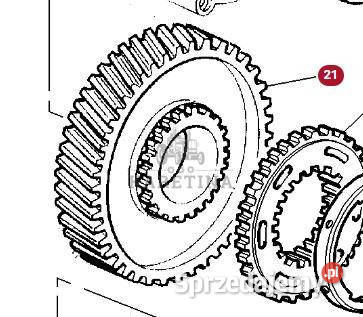 Massey Ferguson 3690 Koło Zębate Zębnik Zębatka Jastrzębniki sprzedam