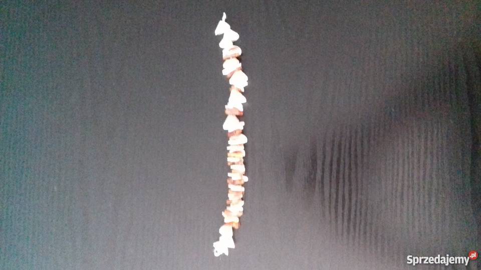 Bransoletka w muszelki Iława