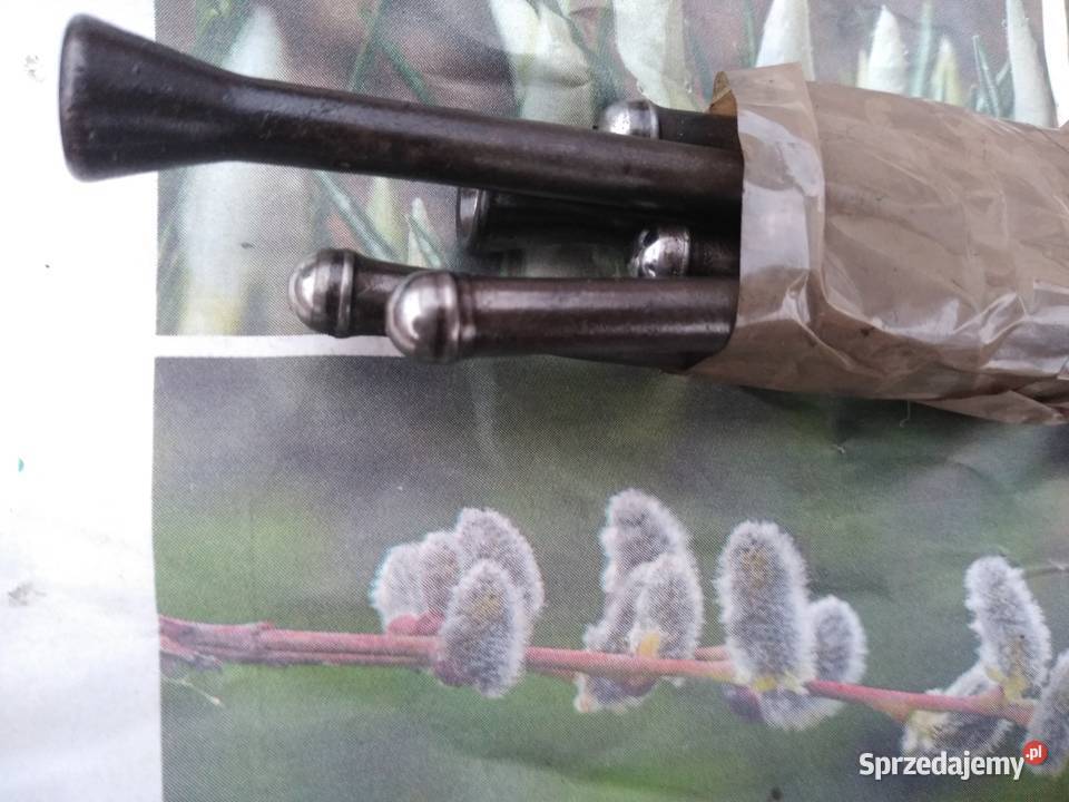 Polonez popychacze hydrauliczne i laski podkarpackie Stalowa Wola