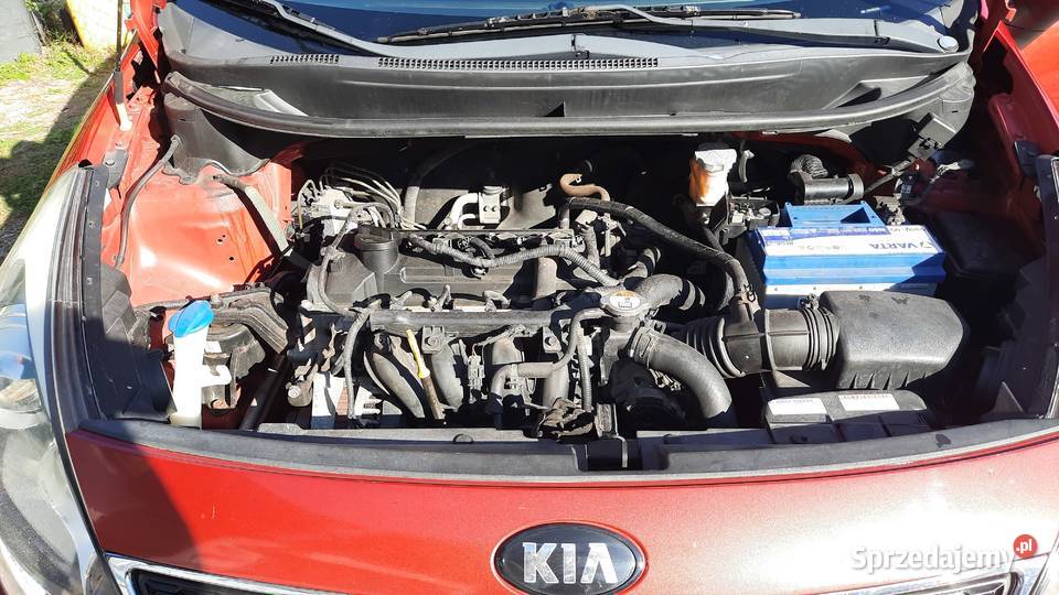 Kia Rio 12 16V Benzyna Klima Alu Navi Zadbany 1248cm3 Kraśnik
