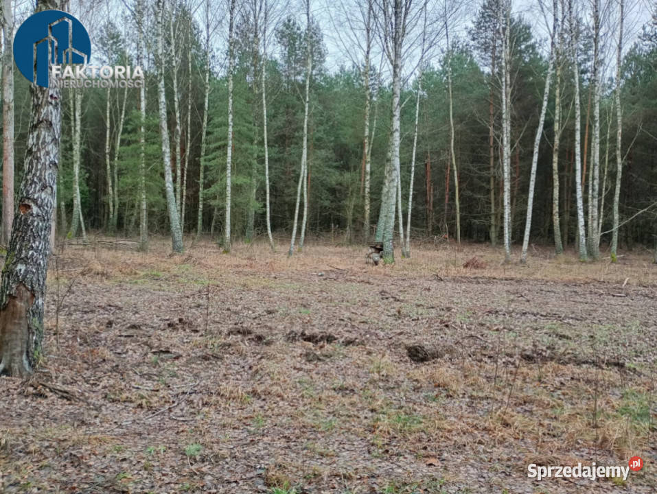 Działka Tarnopol Mostki 960m2 Bołtryki
